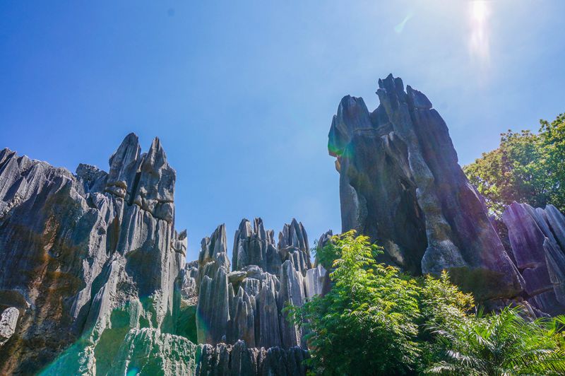 高端私人保镖怎么称呼 私人保镖要具备什么条件?？-第1张图片-私人保镖网